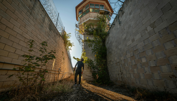 Na czym polega dozór elektroniczny